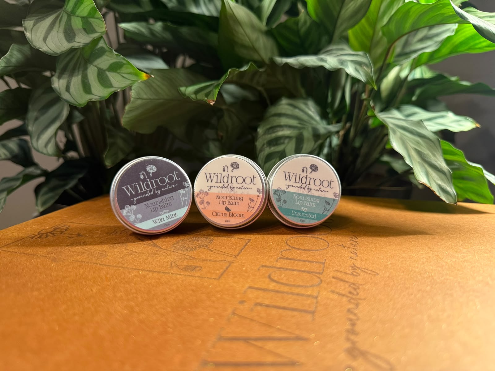 NOURISHING LIP BALMS - Image 2