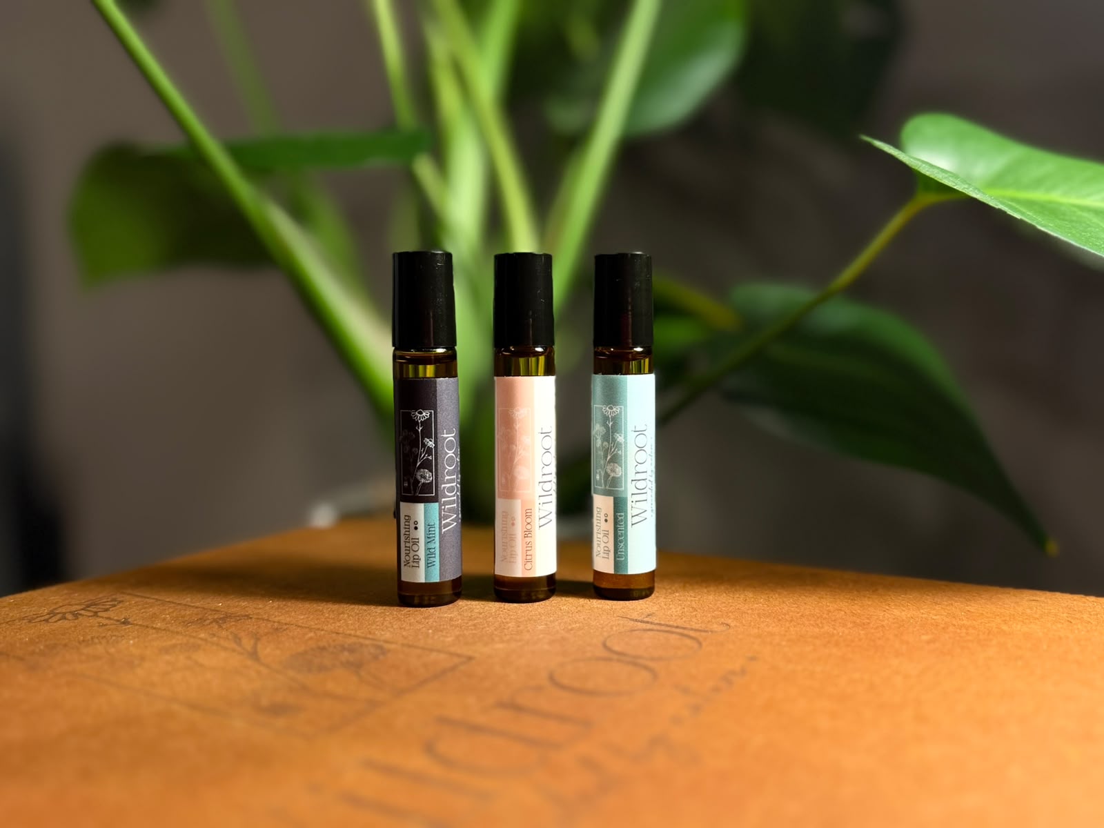 NOURISHING LIP OILS - Image 2